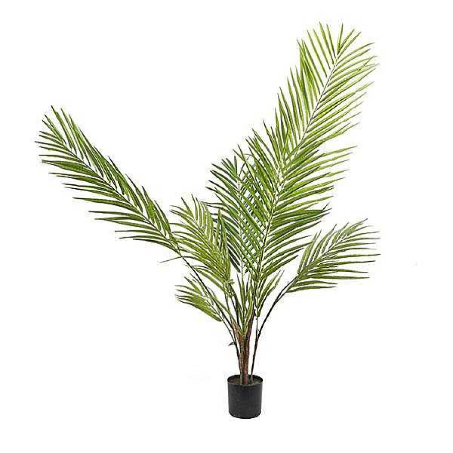 New Planta Areca Palm